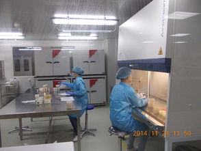 Intertek成功備案特殊食品驗(yàn)證評價(jià)技術(shù)機(jī)構(gòu)，助推行業(yè)高質(zhì)量發(fā)展